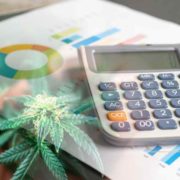 Top Ancillary Marijuana Stocks For Watchlist In The First Quarter