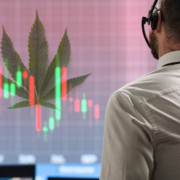 Top Marijuana Penny Stocks On Watch Before February