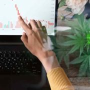 Top Marijuana Stocks To Watch 2nd Week In January