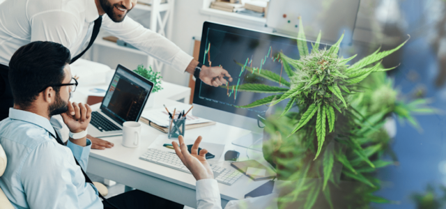 Top US Cannabis Stocks Investors Are Watching Now