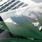 Top US Cannabis Stocks To Watch In January 2023