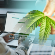 2 Marijuana Stocks To Know About In 2023