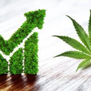 2 Top Marijuana Stocks For Cannabis Investing