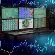 Are US Marijuana Stocks On Watch In February? 2 For Your List Right Now