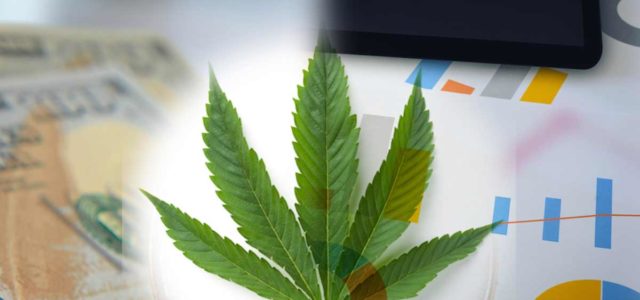 Best Ancillary Cannabis Stocks Mid-February? 3 To Watch This Week