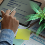 Best Cannabis Penny Stocks To Watch Before March Right Now