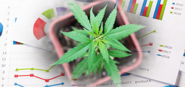 Best Marijuana Penny Stocks To Watch Before March 2023