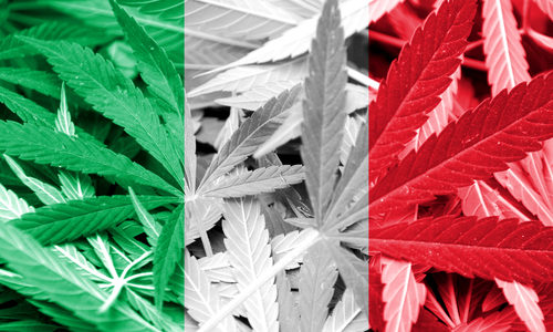 Italian Court Rules Hemp Flower And Leaves Are Not Narcotic In Latest Victory For Industry