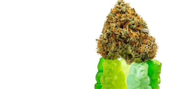 The Ultimate Guide to Using Cannabis Gummies