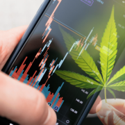 Top Ancillary Marijuana Stocks Under $2