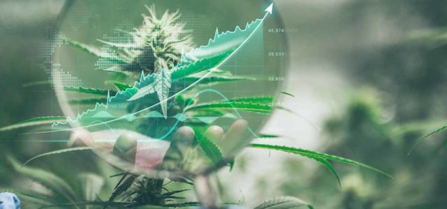 Top Canadian Marijuana Stocks For March? 3 For Your List Next Month