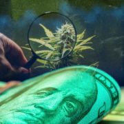 Top Cannabis Penny Stocks Showing Upside In 2023