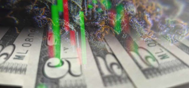 Top Marijuana Penny Stocks With The Best Year To Date Performance In 2023