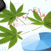 Top Marijuana Stocks Right Now In 2023