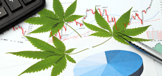 Top Marijuana Stocks Right Now In 2023