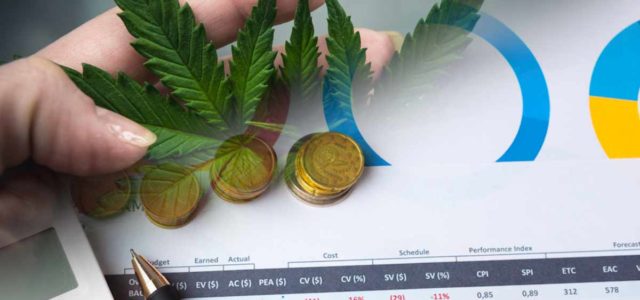 Top US Marijuana Penny Stocks To Watch For Mid-February