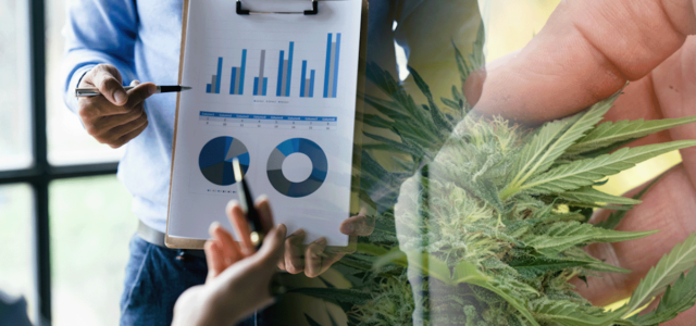 2 Top Marijuana Stocks For Cannabis Investing 2023