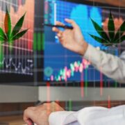3 Marijuana Stocks To Buy Before The Final Bell?