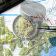 3 Top Marijuana Stocks That Are For Cannabis Investors