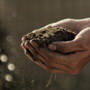 How living soil can reduce cannabis growers’ impact on the environment