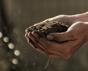 How living soil can reduce cannabis growers’ impact on the environment