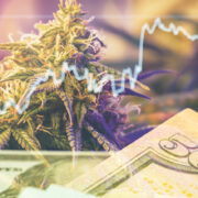 Marijuana Stocks For Your March 2023 Watchlist