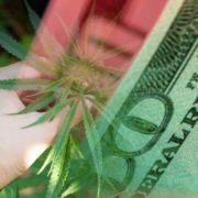 Top US Cannabis Stocks To Buy? 2 To Watch This Week