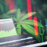 2 Marijuana Stocks To Watch For Cannabis Investing 2023