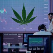2 Top Marijuana Stocks To Watch For Better Trading