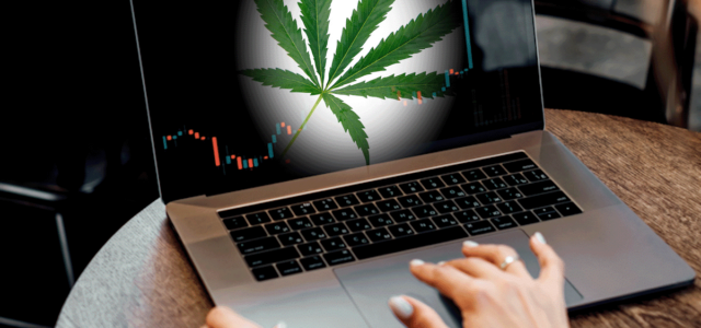 3 Marijuana Stocks To Watch 3rd Week Of April