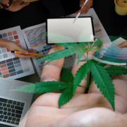 Best US Cannabis Stocks To Buy ? 3 On Watch In April