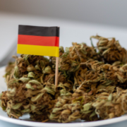 Germany Unveils Sweeping Cannabis Legalization Plan