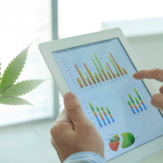 How To Find Top Marijuana Stocks To Buy