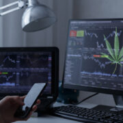Investing In Marijuana Stocks 2023