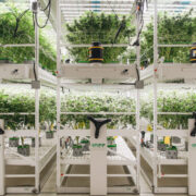 Three Tips for Improving the Resource Use Efficiency of Your Cultivation Business