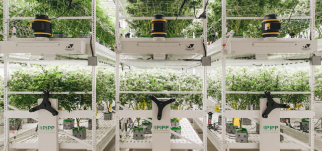 Three Tips for Improving the Resource Use Efficiency of Your Cultivation Business