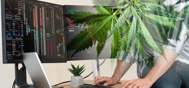 Top Cannabis Stocks To Watch Before May 2023