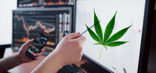 Top Marijuana Stocks For Investing This Week?