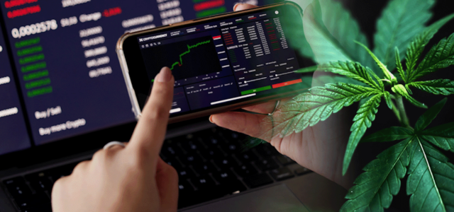 Top US Marijuana Stocks To Watch In April