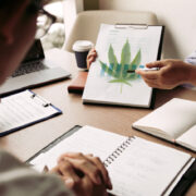 2 Best Marijuana Stocks For Cannabis Investing In June