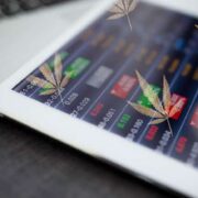 2 Marijuana Stocks For Your 2023 Cannabis Investing