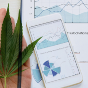 2 Top Marijuana Stocks To Buy For Cannabis Investing?