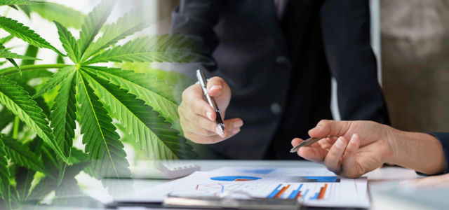 3 Marijuana Stocks To Better Your Odds Of Making A Profit
