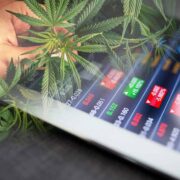 Ancillary Cannabis Stocks: And the Thriving Cannabis Industry of 2023