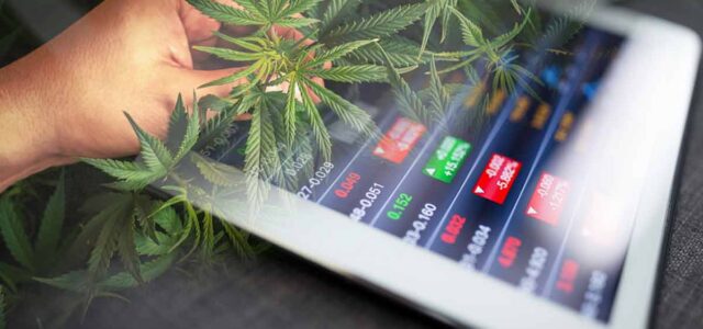 Ancillary Cannabis Stocks: And the Thriving Cannabis Industry of 2023