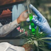 Are Marijuana Stocks A Buy As SAFE Banking Comes Into Focus?