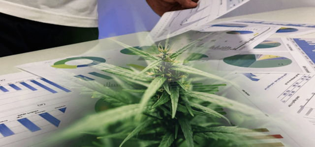 Best US Marijuana Stocks For May 2023 Watchlist