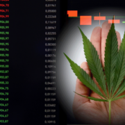 How To Buy Marijuana Stocks Inside Of A Volatile Market