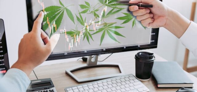 Marijuana Stocks To Buy The First Week Of June?