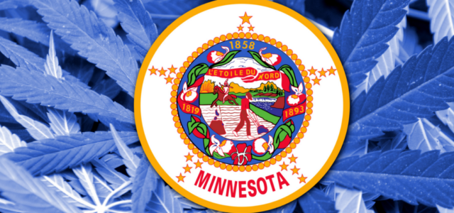 Minnesota Cannabis? You Betcha!